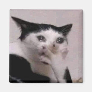 Gasp Cat Meme Magnet