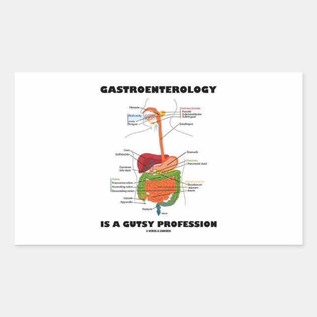 Gastroenterology Is A Gutsy Profession Rectangular Sticker (Front)