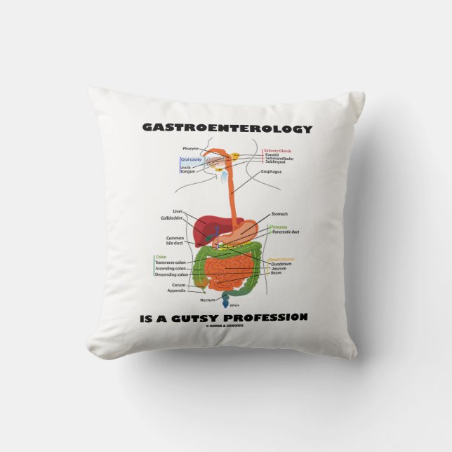 Gastroenterology Is A Gutsy Profession Throw Pillow (Front)