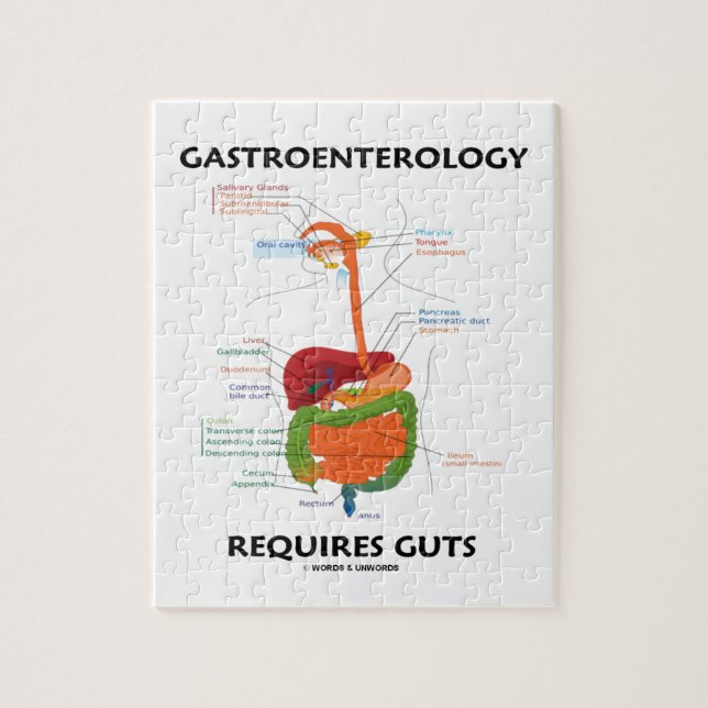 Gastroenterology Requires Guts (Digestive System) Jigsaw Puzzle (Vertical)