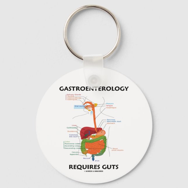 Gastroenterology Requires Guts (Digestive System) Keychain (Front)