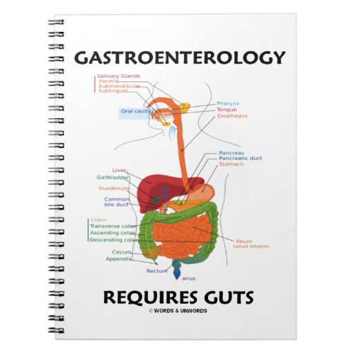 Gastroenterology Requires Guts Digestive System Notebook