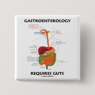 Gastroenterology Requires Guts (Digestive System) Pinback Button
