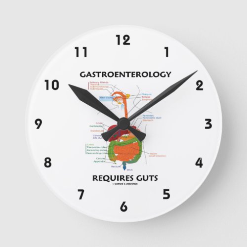 Gastroenterology Requires Guts Digestive System Round Clock