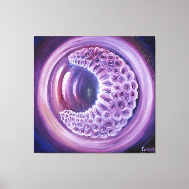 Gastrula Canvas Print (Front)