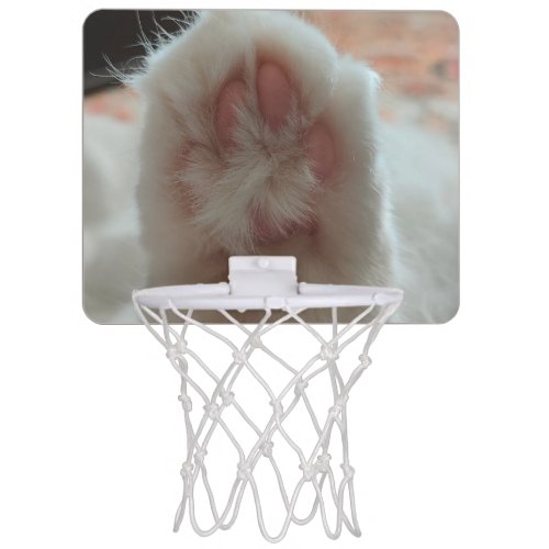 Gata Angora Basketball Basket Mini Basketball Hoop