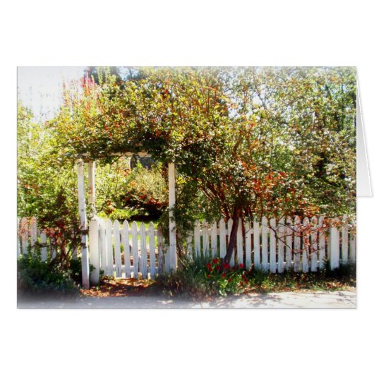 Gate, McCloud Cards (Front Horizontal)