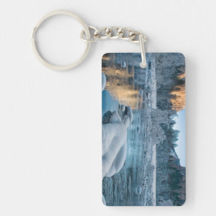 Gates in Yosemite Keychain
