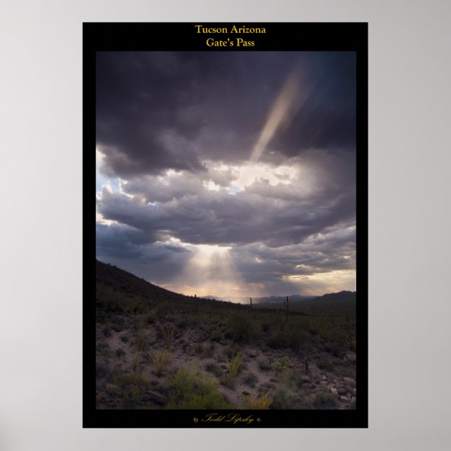 Gates Pass Poster (Front)