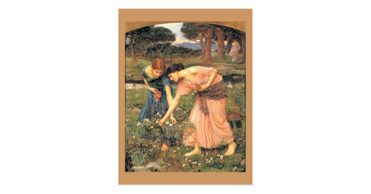 Gather Roses While Ye May Women Picking Flowers Postcard