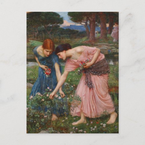 Gather Ye Rosebuds by John W Waterhouse Postcard
