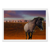 Gathering (Front Horizontal)