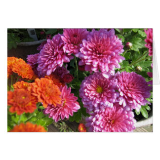 Gathering Mums Cards