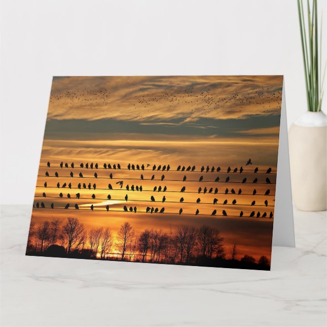  Gathering of Starlings  Card (Front)