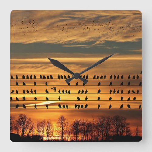 Gathering of Starlings  Square Wall Clock