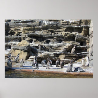 Gathering of the Penguins Poster