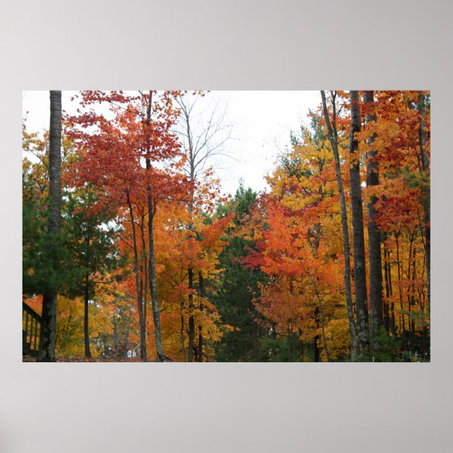 Gathering of the Standing Ones Poster (Front)