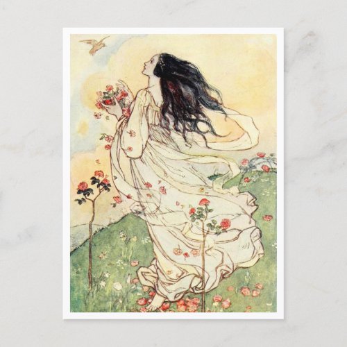 Gathering Rose Petals Vintage Illustration  Postcard
