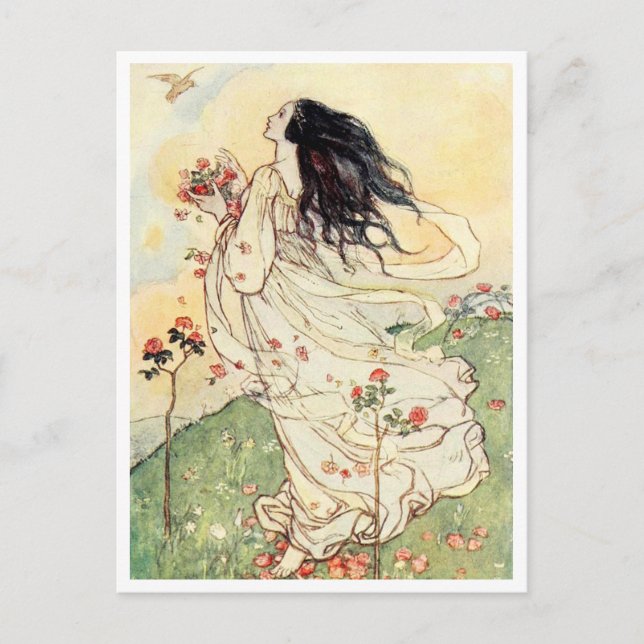 Gathering Rose Petals Vintage Illustration  Postcard (Front)