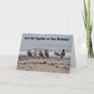 Gathering Sea Gull Birds Get Together Birthday Card