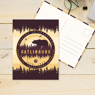 Gatlinburg Tennessee Bear Pine Trees Nature Postcard