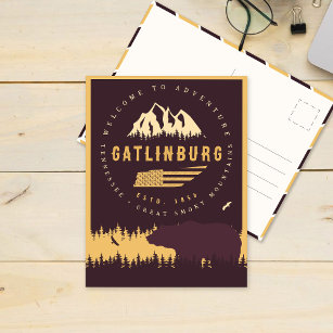 Gatlinburg Tennessee Bear Pine Trees Nature Postcard