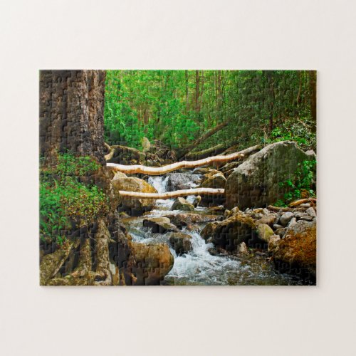 Gatlinburg  Tennessee Jigsaw Puzzle