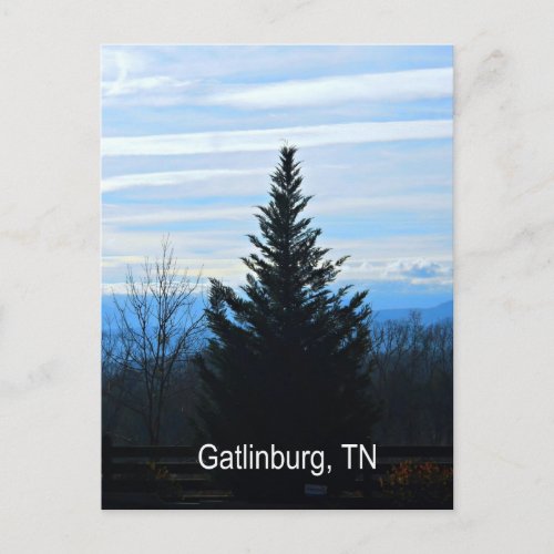 Gatlinburg Tennessee Postcard