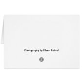 Gator (Back Horizontal)