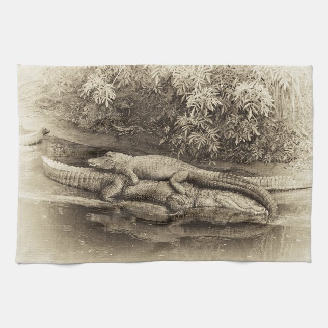 Gator Back Ride Kitchen Towel (Horizontal)