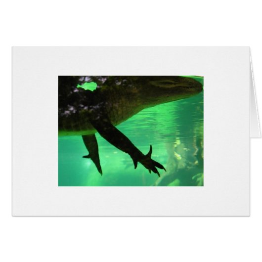 Gator Cards (Front Horizontal)