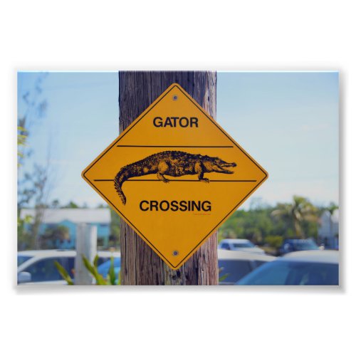 Gator Crossing Sign Florida Photo Print