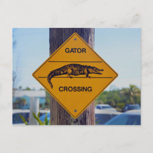 Gator Crossing Sign, Florida Photo Print Postcard