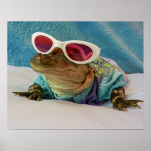 Gator Greetings - Keep Smiling Poster