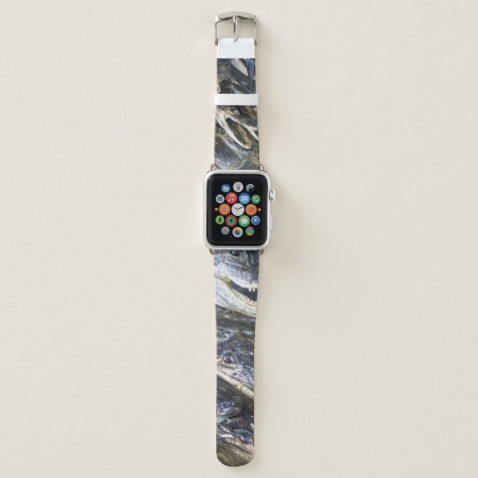 gator apple watch band
