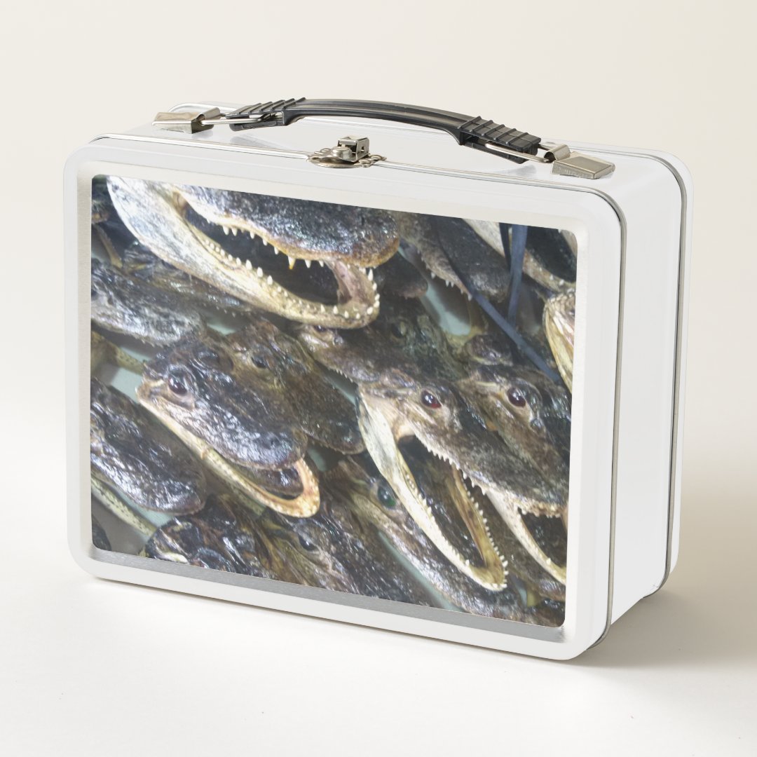 Gator Head Lunch Box Zazzle