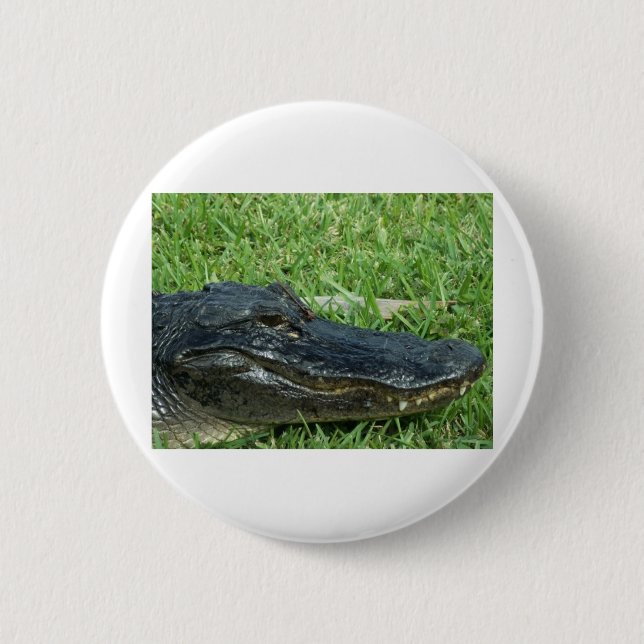 Gator in grass pinback button (Front)
