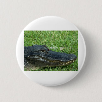 Gator in grass pinback button