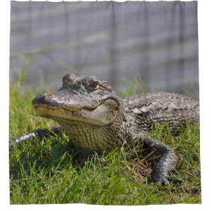 GATOR in the SHOWER Curtain