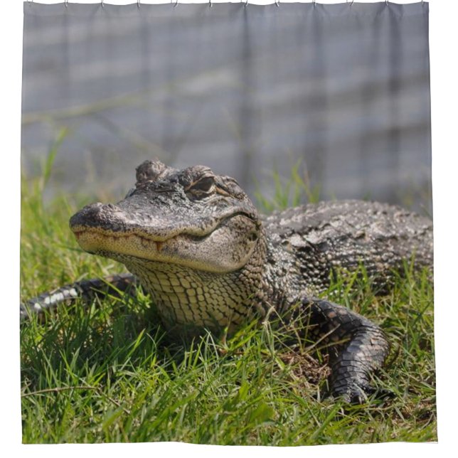 GATOR in the SHOWER Curtain (Front)