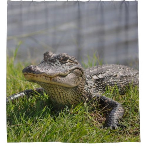GATOR in the SHOWER Shower Curtain