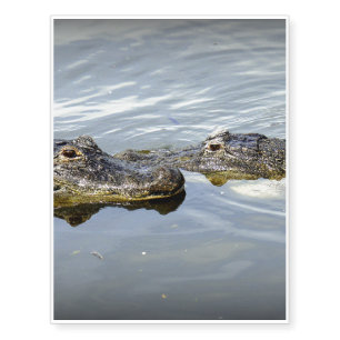 Gator Love Temporary Tattoos