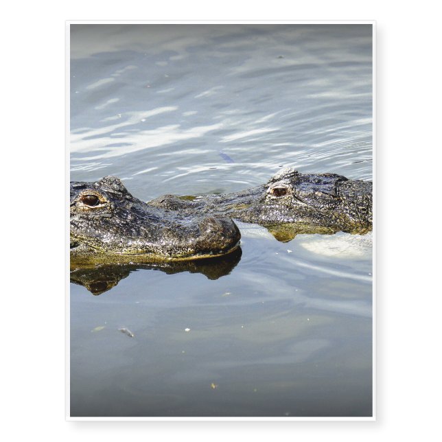 Gator Love Temporary Tattoos (Front)