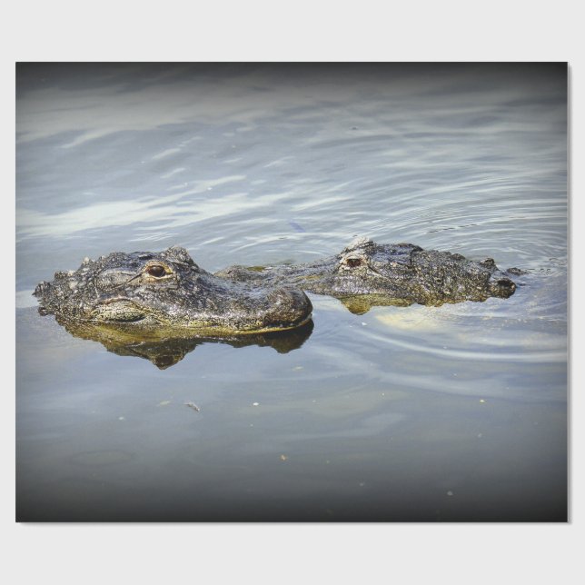 Gator Love Wrapping Paper (Flat)