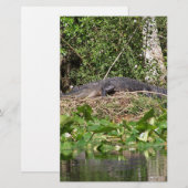 Gator luv zoom pic (Front/Back)