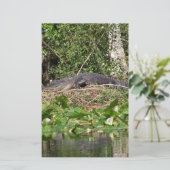 Gator luv zoom pic (Standing Front)