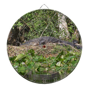 Gator luv zoom pic dartboard