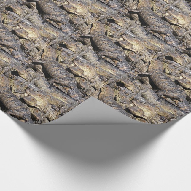 Gator Pile Wrapping Paper (Corner)