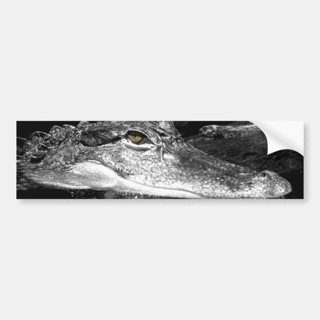 Gator Sticker (Front)