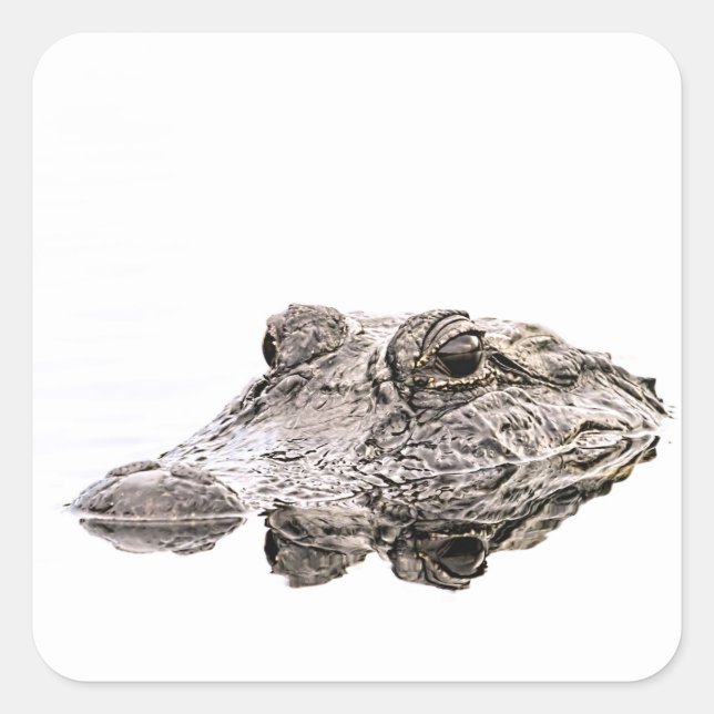 Gator Sticker (Front)